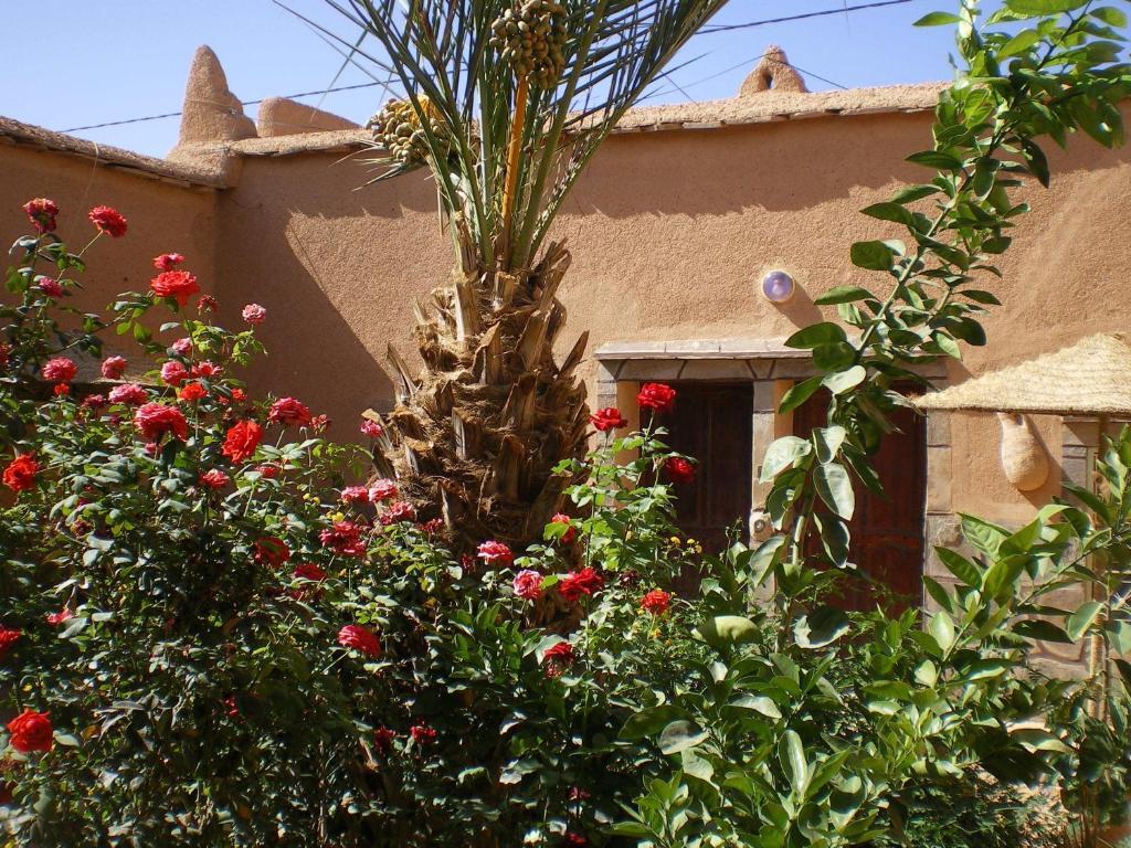 Maison D' Hotes Ait Hmid Nkob Zewnętrze zdjęcie