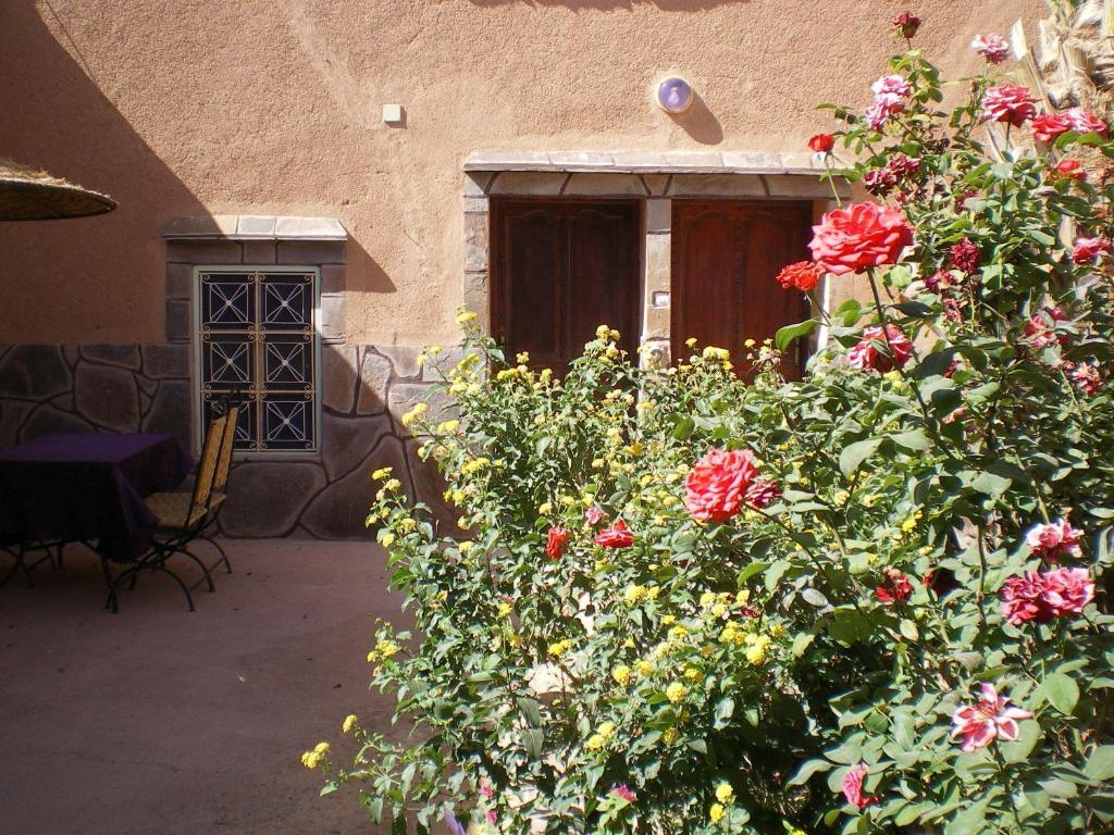 Maison D' Hotes Ait Hmid Nkob Zewnętrze zdjęcie